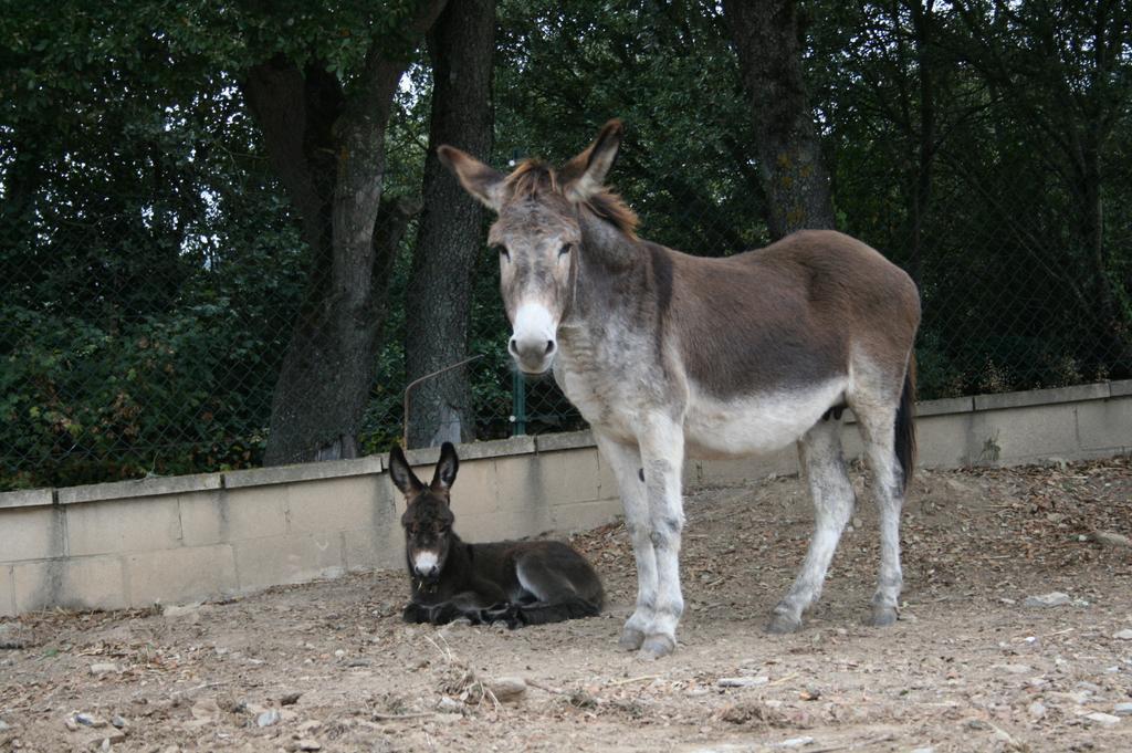 Séjour à la campagne La Granja De Vitoria *