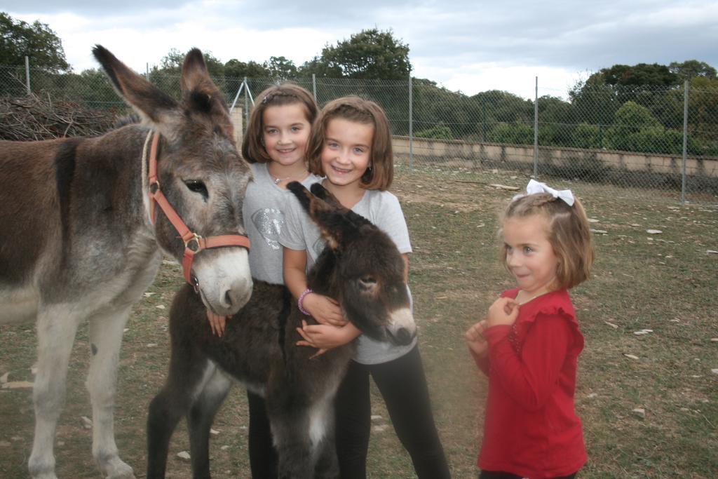 Séjour à la campagne La Granja De Vitoria Hueto Arriba